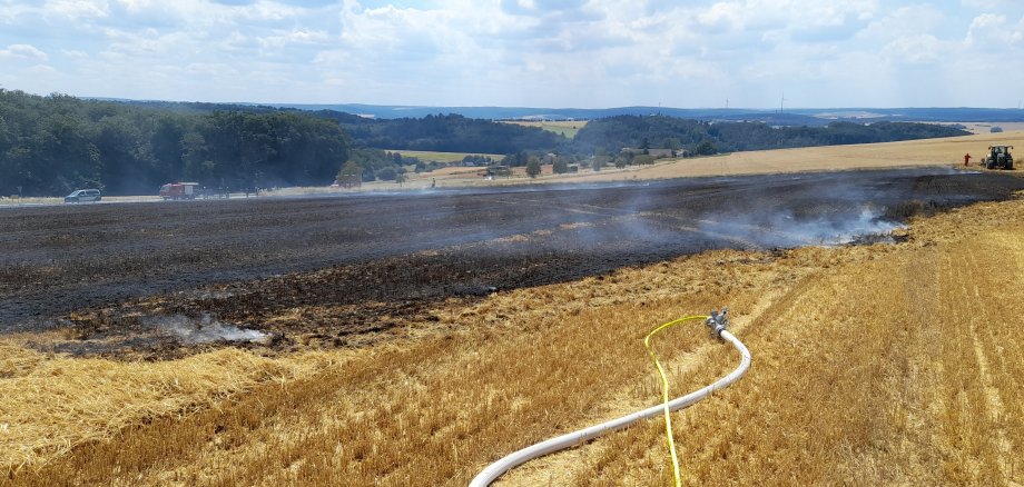 Einsatzkraft der Feuerwehr mit Atemschutzmaskeliegenden Baum