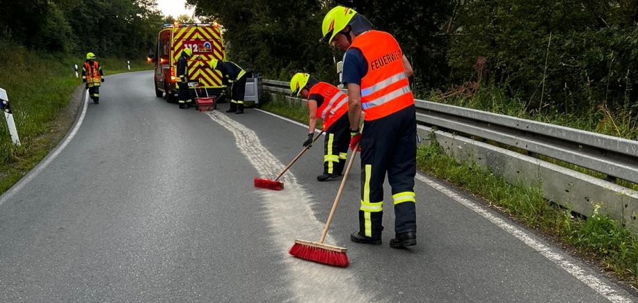 Einsatzkraft der Feuerwehr mit Atemschutzmaskeliegenden Baum
