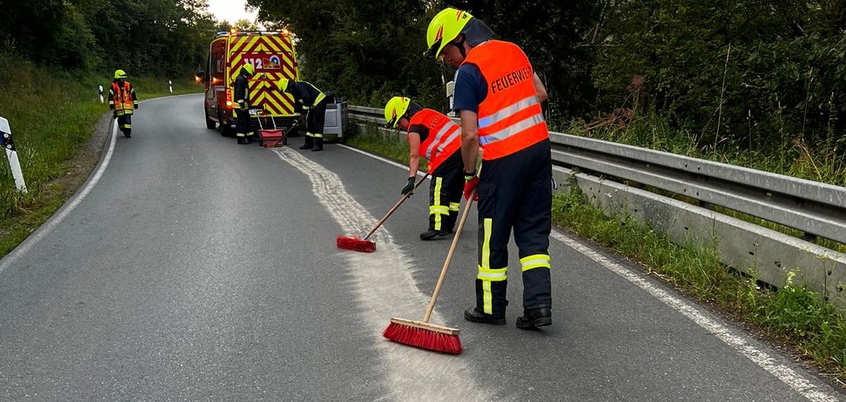 Einsatzkraft der Feuerwehr mit Atemschutzmaskeliegenden Baum